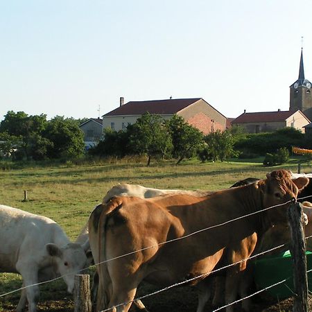 Chambres D'Hotes Au Presbytere Racrange Bagian luar foto