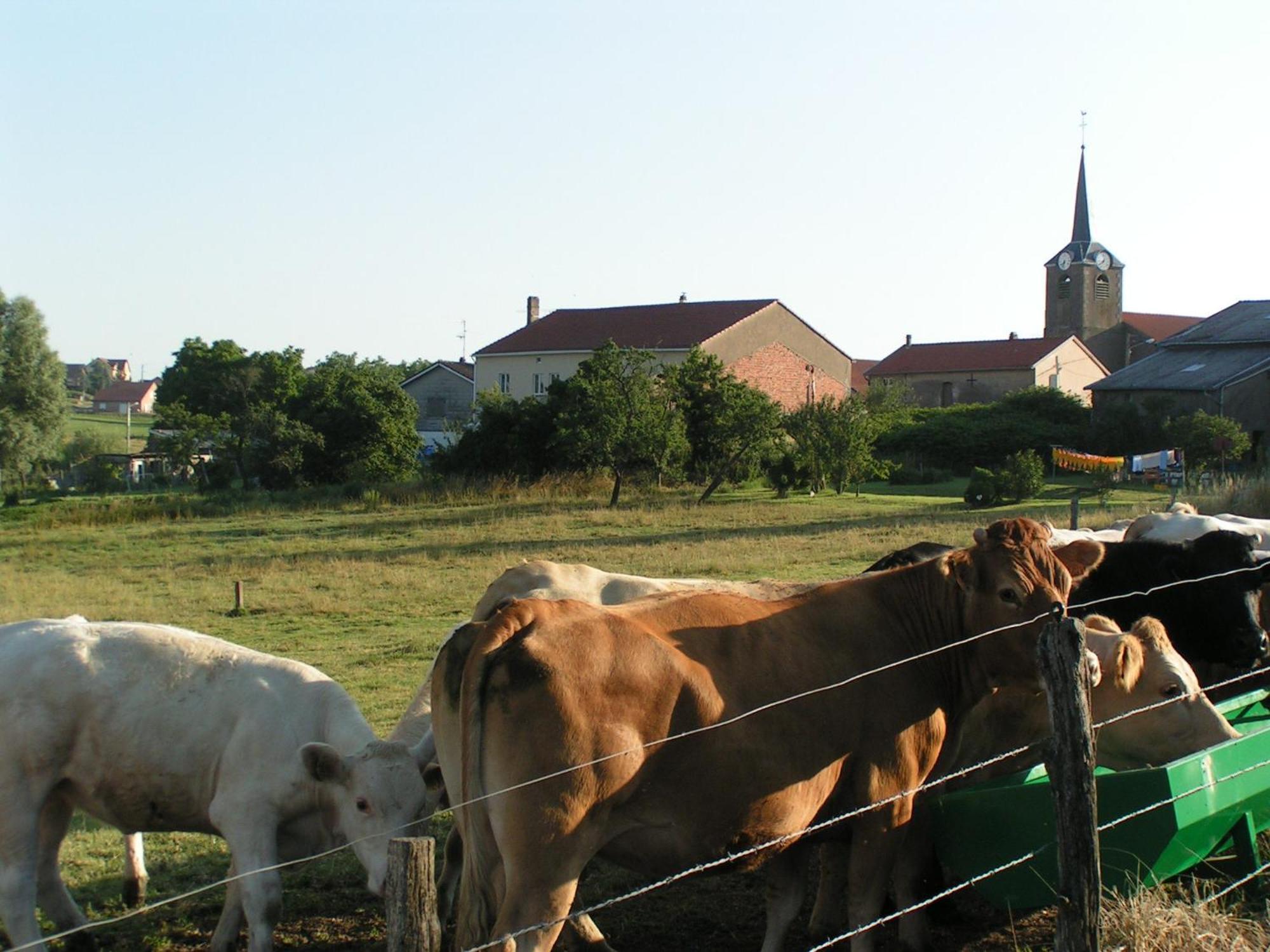 Chambres D'Hotes Au Presbytere Racrange Bagian luar foto